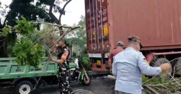 Anggota Babinsa Bantu Warga Bersihkan Pohon Tumbang di Jalan Raya