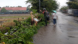 Diterjang Hujan Badai, Pohon Besar Tumbang di Sidoarjo — Babinsa dan Warga Bergerak Cepat Pulihkan Arus Lalu LIntas