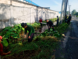 Kerja Bakti Kesiapsiagaan Bencana: TNI–Pemerintah–Warga Satukan Langkah Bersihkan Avour Kedung Uling Sepanjang 250 Meter