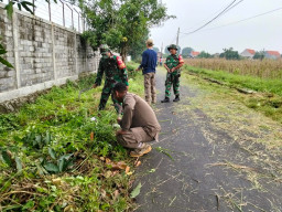 Sinergi Pagi Hari Bangun Lingkungan Bersih: Koramil 0816-10/Balongbendo Bersama Forkopimka dan Warga Gelar Kerja Bakti d