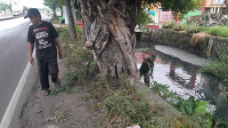 Antisipasi Banjir, Koramil 0816/14 Taman Bersama Warga Gelar Karya Bakti Pembersihan Sungai Petung