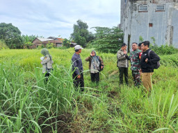 Babinsa Wonoayu Kawal Tebu, Semangat Swasembada Gula Menguat