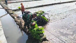 Sinergi TNI dan Poktan Wonokupang Perkuat Ketahanan Pangan Desa