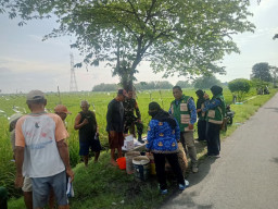 Babinsa Krian Perkuat Sinergi dengan Poktan, Wujudkan Ketahanan Pangan Desa Gamping