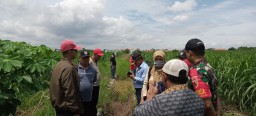 Babinsa Koramil 0816/09 dampingi Kades Jeruk Gamping Survei TPST