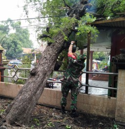 Danramil 0816/02 Candi Pimpin Anggota Kerja Bakti, Pasca Bencana Angin Puti