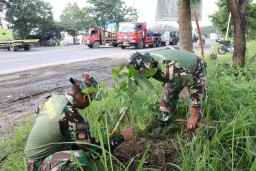 Ciptakan Lingkungan Hijau, Kodim 0816 Tanam Pohon