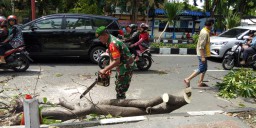 BABINSA SIDOKUMPUL BANTU DKP PEMOTONGAN POHON DI RUAS JL PAHLAWAN