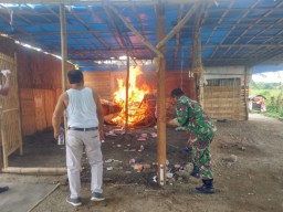 Forkopimka Taman membubarkan lokasi perjudian sabung ayam di Desa Tanjungsa