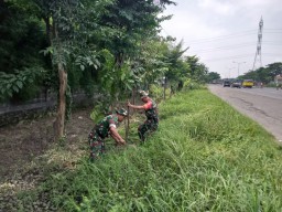 Anggota Ramil 07/ Krembung Ikuti Penanaman Pohon Mahoni