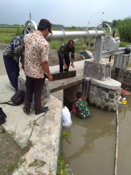 Pastikan Pasokan Air, Babinsa Koramil* *0816/05 Tulangan Cek Pengairan Sawa