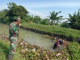Babinsa dan Warga Bergelut Dengan Enceng Gondok