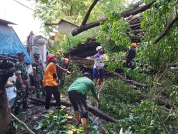 Koramil 17 Gedangan dan BPBD lakukan pembersihan Pohon tumbang