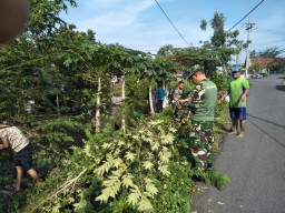 Danramil Beserta Anggota koramil0816/10 Balongbendo ikuti Kerja Bakti
