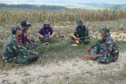 Hamparan Sawah yang Cocok untuk Diskusi