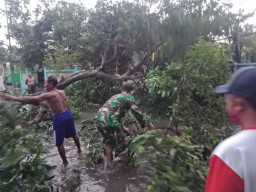 Anggota Koramil0816/ 07 Krembung Bersama Warga Bergotong Goyong Bersihkan