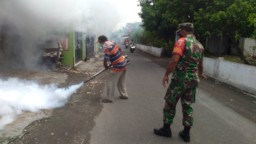 Tak Lupakan DBD, Babinsa Pelda Marjuki Bantu Fogging Desa Kenongo