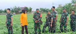 Danrem 084/BJ meninjau lahan pertanian Kodim 0816/Sidoarjo