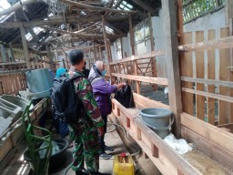 Babinsa Koramil 0816/13 Dampingi Petugas Kesehatan Vaksinasi Hewan Ternak