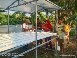 Babinsa 0816/01 Sidoarjo bantu warganya penanaman hidroponik.