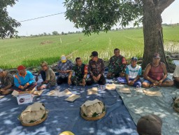 Danramil 0816/05 Tulangan Beserta Babinsa Hadiri Syukuran Tutup Tanam Padi.