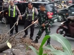 Babinsa Koramil 0816/03 Buduran bersama Bhabinkamtibmas evakuasi pohon tumbang