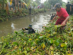 Karya Bakti Gotong Royong Bersihkan Sungai dari Enceng Gondok di Desa Kalipecabean