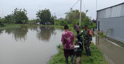 Serka Yoyo Bersama Petugas Pengairan dan Pemdes Penatarsewu Cek DAM Pintu Air Irigasi