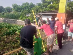 Kerja Bakti Serempak di Desa Sidomulyo, Bersama Fokopimka dan Warga Bersihkan Aliran Sungai dari Enceng Gondok