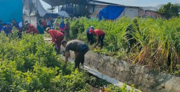 Bersama Masyarakat, Anggota Babinsa Koramil 0816/06 Tanggulangin Bantu Kerja Bakti Bersihkan Saluran Irigasi