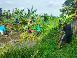 Danramil 0816/09 Krian Bersama Forkopimka dan Warga Gotong Royong Bersihkan Avur Kali Londo untuk Cegah Banjir