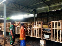 Babinsa Koramil 0816/13 Wonoayu Bersama Peternak, Jalin Silaturahmi dan Dukung Ketahanan Pangan