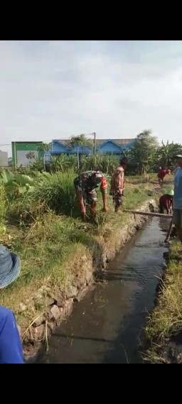 Menjadi Teladan, Sertu Gunawan dan Petani Bersatu Untuk Ketahanan Pangan Serta Mewujudkan Impian Pertanian Berkelanjutan