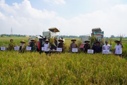 Forkopimda Sidoarjo Panen Raya Padi di Desa Kemuning Tarik, Komitmen Bersama Wujudkan Ketahanan Pangan Nasional