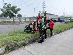 Gelar Aksi Penanaman 3000 Pohon Pule Forkopimka Kec. Porong*