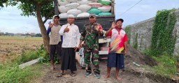 Panen Raya, Kolaborasi Petani, Bulog, dan Pemerintah di Lahan 13 Hektare Desa Wonokasian