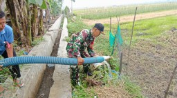 Guyub Babinsa dan Petani Siram Sawah, TNI Hadir Menyuburkan Harapan di Damarsi