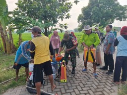 Babinsa Wonokasian Dampingi Petani dalam Gardal Hama Wereng: Sinergi TNI, Penyuluh, dan Gapoktan Wujudkan Ketahanan Pangan di Wonoayu