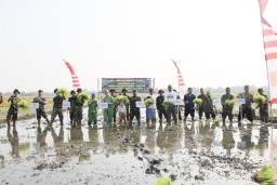 Gerakan Misi Penghijauan dengan Penanaman Padi dan Pohon pada TMMD ke-120 Kodim 0816/Sidoarjo di Desa Penambangan
