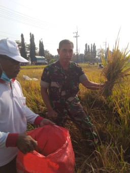 Koramil 0816/03 Buduran Sinergis dengan Petani