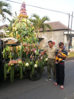 Babinsa Desa Keper Bersama Warga Mengikuti Kirap Tumpeng