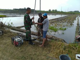 Babinsa yang selalu tanggap mencari solusi kekeringan bersama PokTan