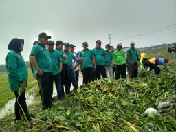 Gerakan Peduli Sungai Desa Segodo Bancang Tarik Oleh Bupati Sidoarjo