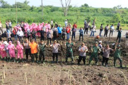 Cegah Longsor dan Banjir, Puluhan Anggota TNI/Polri tanam vertiver