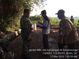 Babinsa Koramil 0816/11 Tarik laksanakan Giat Bimtek dan Gerdal WBC