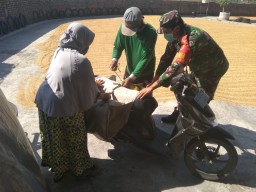 Jalin Keakraban, Babinsa Trompoasri Komsos Bersama Gapoktan
