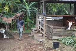 Banyak Teman dan Saudara, Anugerah Bagi Prada Alan