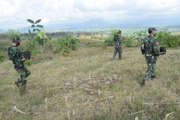 Penanaman Pohon, Cegah Kerusakan Hutan