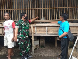 Pelda A Rofiq melaksanakan Komsos Dengan Peternak Kambing Di Ds Ploso