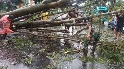 Babinsa Ramil Prambon dan Warga Gotong Royong Bersihkan Pohon Tumbang